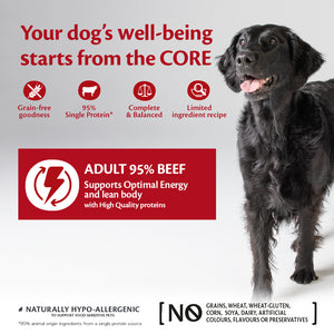 Wellness CORE Can 95% Beef and Broccoli 6 x 400g