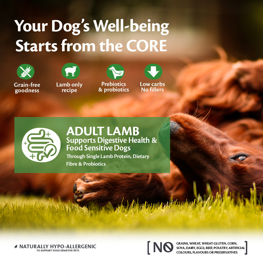 Wellness core deals lamb