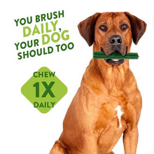 Load image into Gallery viewer, 99b24e01f813dadf0b5bbd6bdb648a62