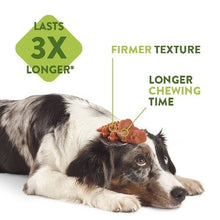 Load image into Gallery viewer, b299c88fbbc9cd5a99a7472c0ca42048