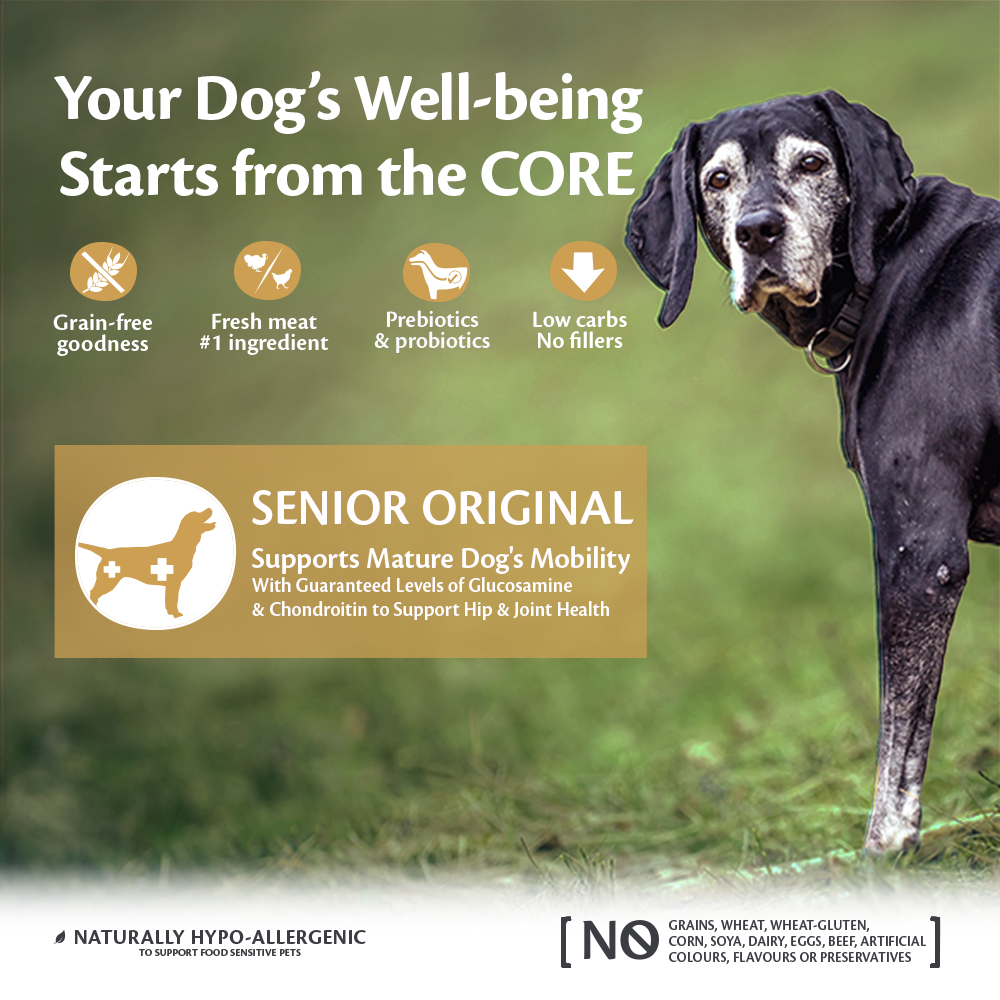 Wellness small breed discount senior