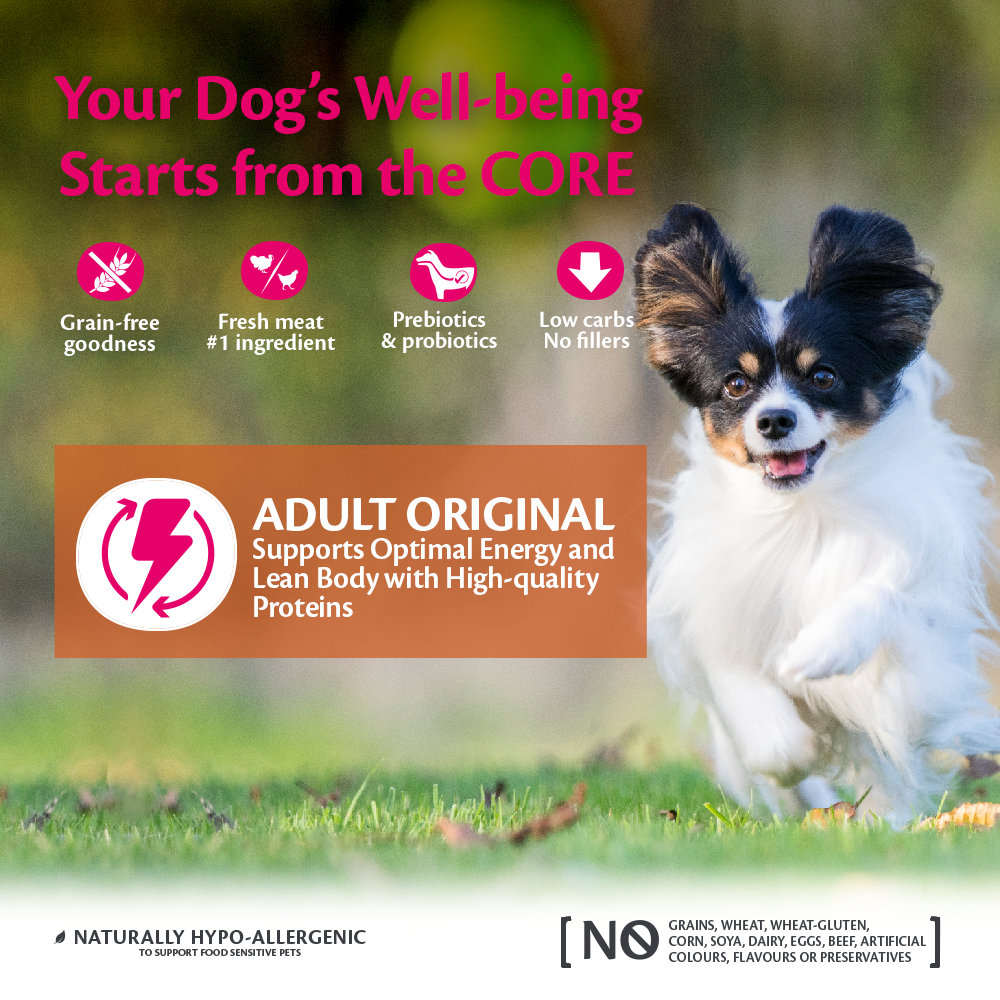 Wellness core small breed puppy best sale