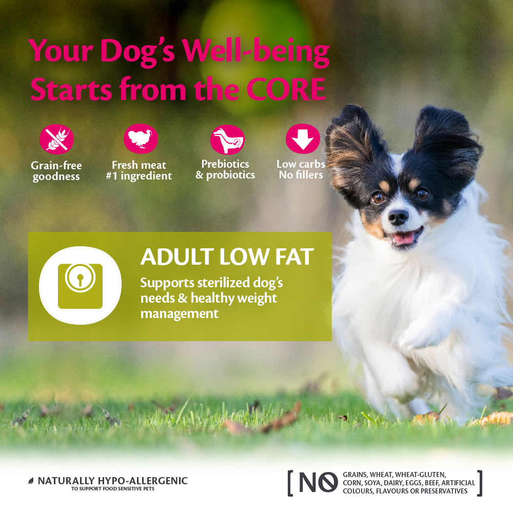 Wellness core low fat online dog food