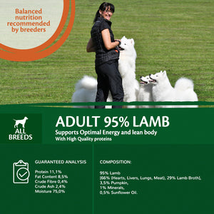 Wellness CORE Can 95% Lamb and Pumpkin 6 x 400g