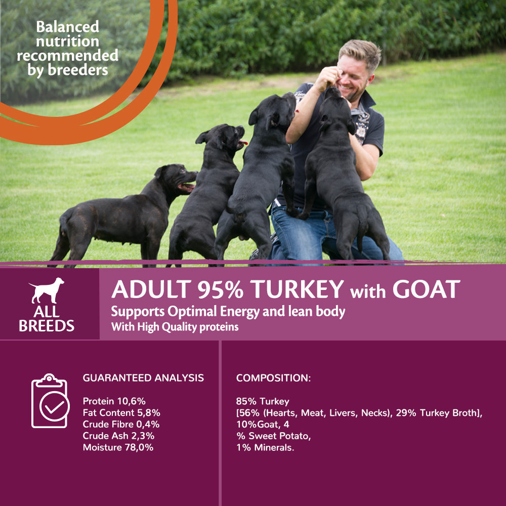 Wellness core shop 95 turkey