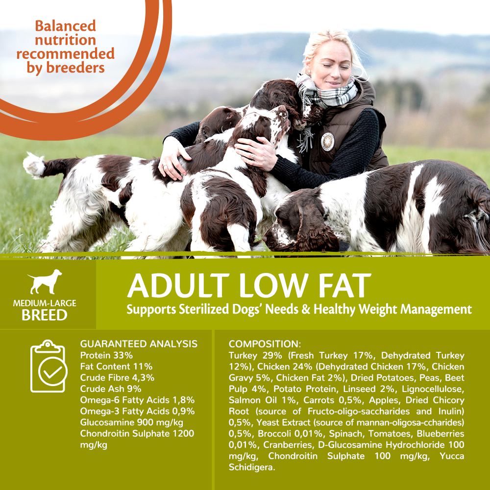 Wellness core turkey dog food 2025