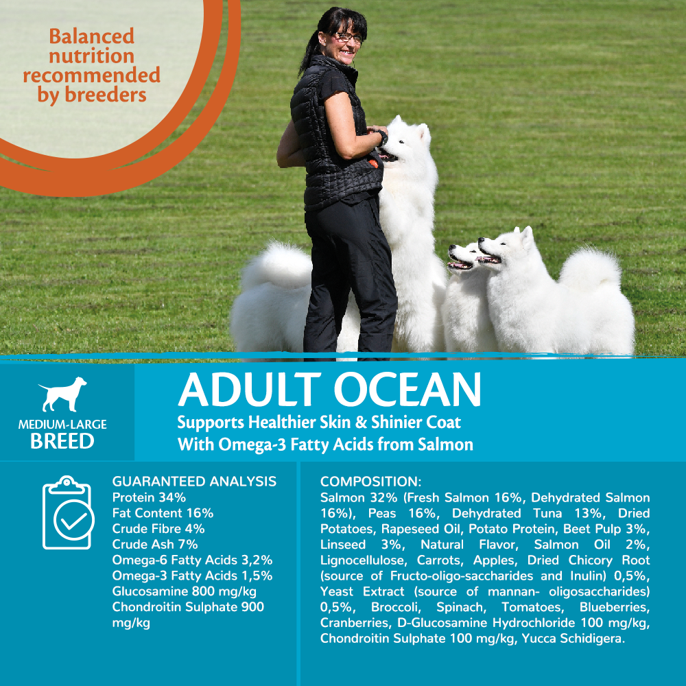 Core ocean store dog food