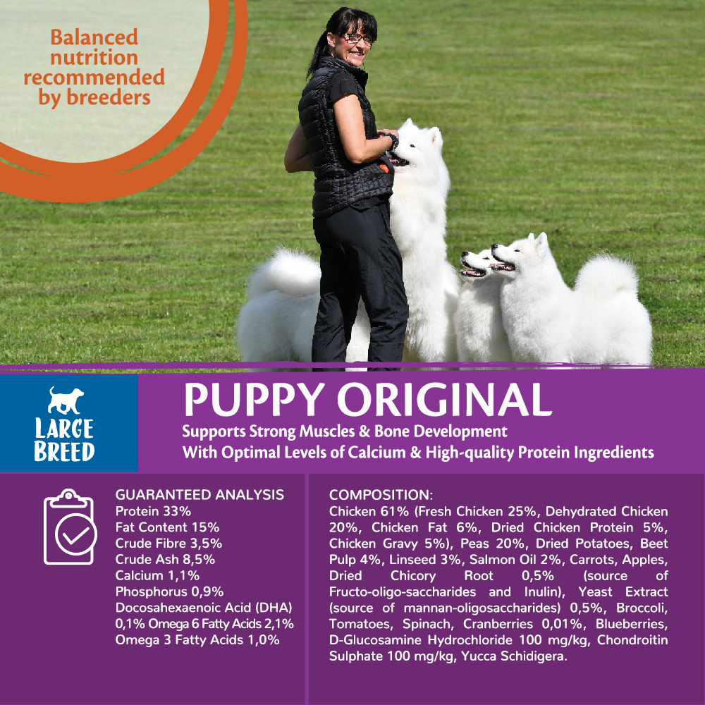 Wellness complete health large breed puppy clearance