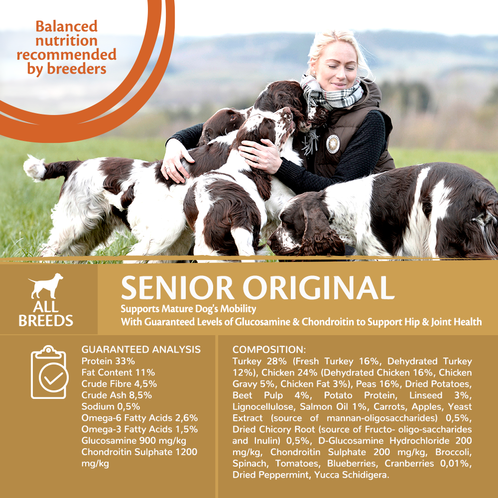 Wellness core grain free senior sales formula