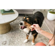 Load image into Gallery viewer, 284b32684447c028f5d919cf3246688a