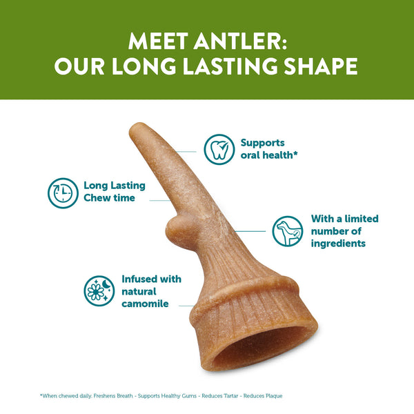 NEW! WHIMZEES Antlers