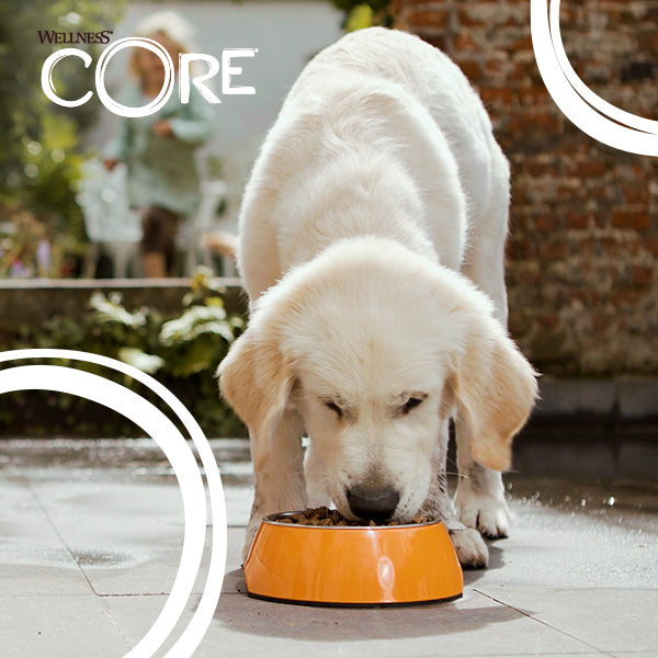 October Puppy Feature – Wellness CORE Breeder Programme
