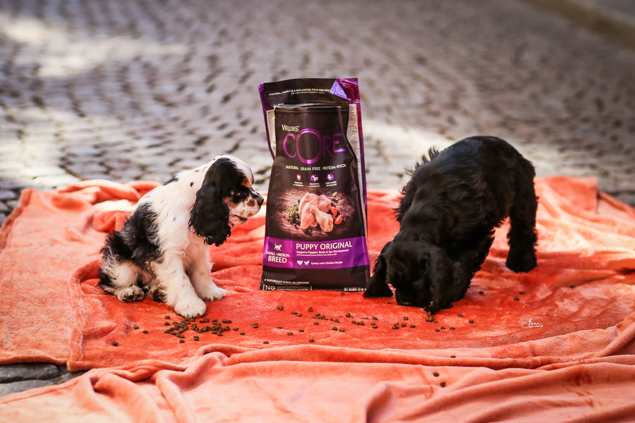 Recipes for Puppies