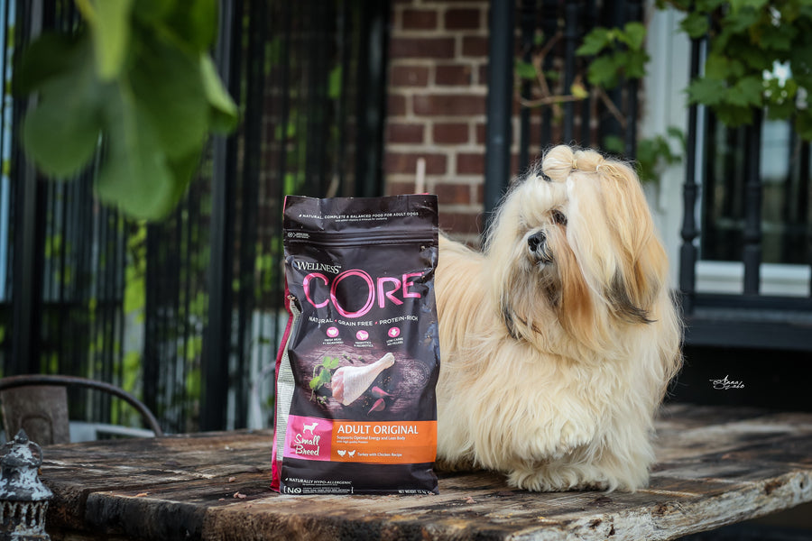 Recipes for Small Breeds