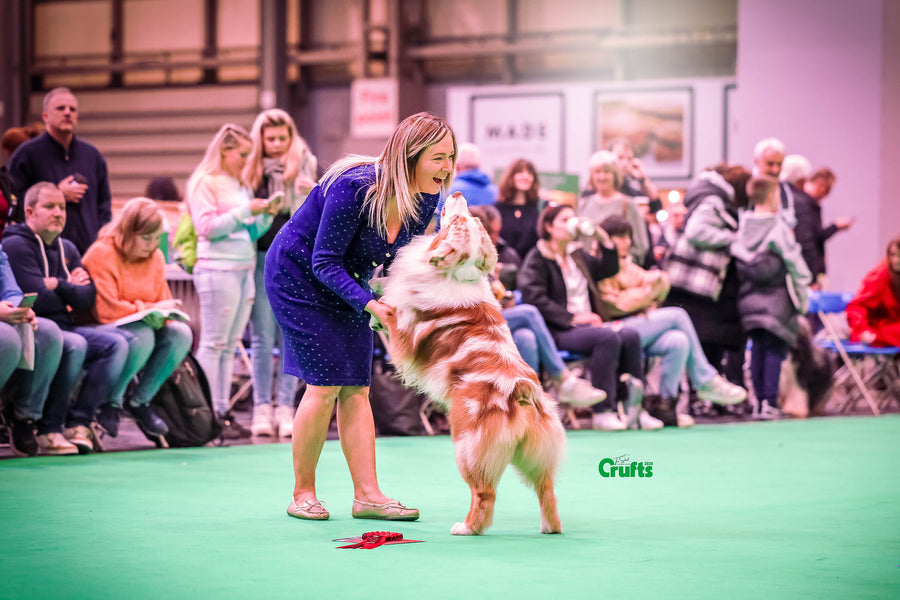 Crufts 2024