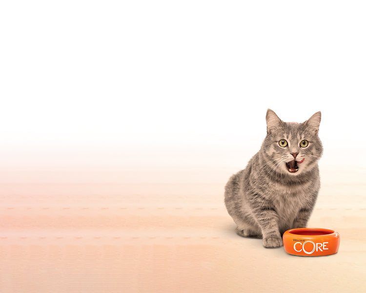Discover Wellness CORE Cat