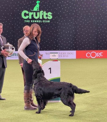 Crufts 2022