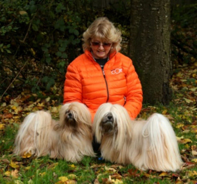 Dog Grooming and Coat Care