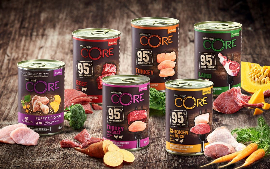 Benefits of Wet Dog Food