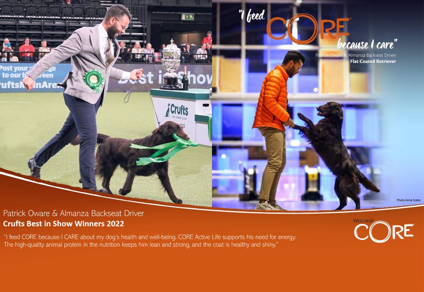 Best In Show Crufts 2022
