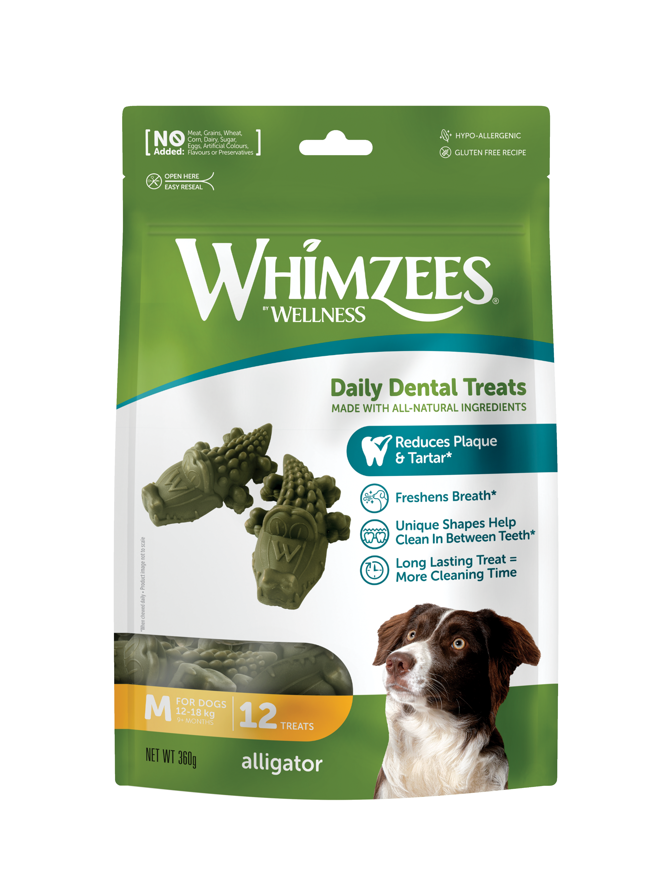 Alligator shaped dog chew best sale