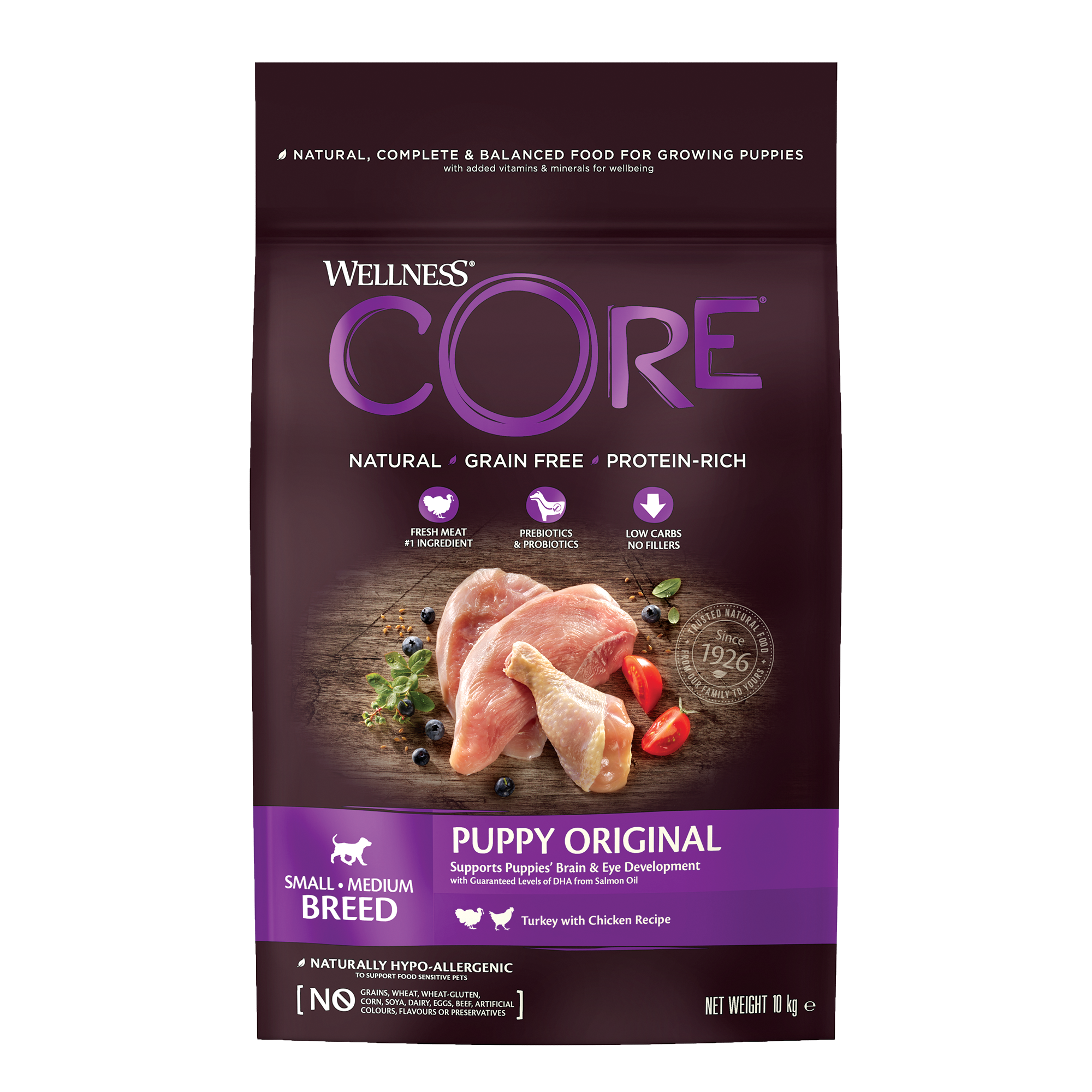 Wellness core natural shop grain free puppy
