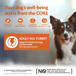 Wellness CORE Can 95% Turkey and Kale 6 x 400g