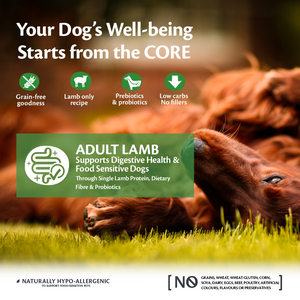 Wellness CORE Lamb 10kg + 2KG FREE