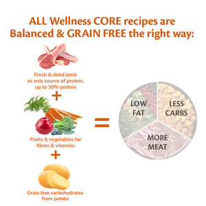 Wellness CORE Adult Lamb