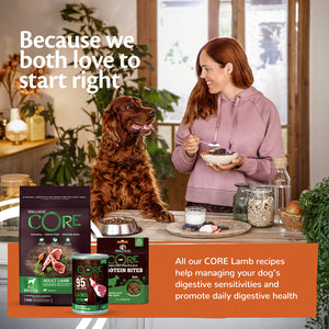 Wellness CORE Adult Lamb