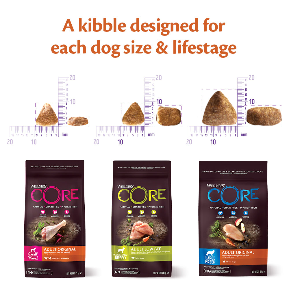 Buy wellness shop core dog food
