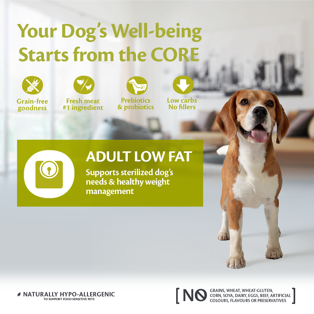 Wellness CORE Adult Low Fat Turkey Wellness CORE Breeder Programme