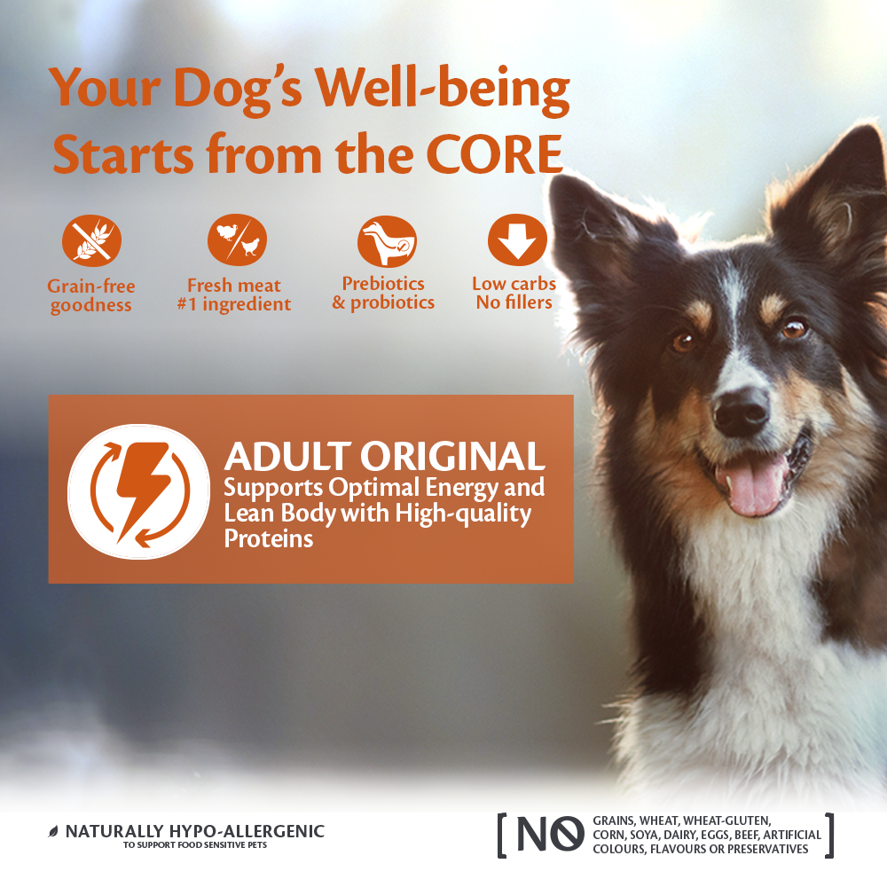 Wellness core natural grain free dry dog food original turkey & chicken clearance