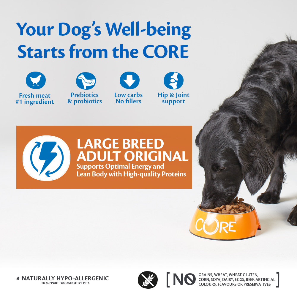 Wellness core dog shop food large breed