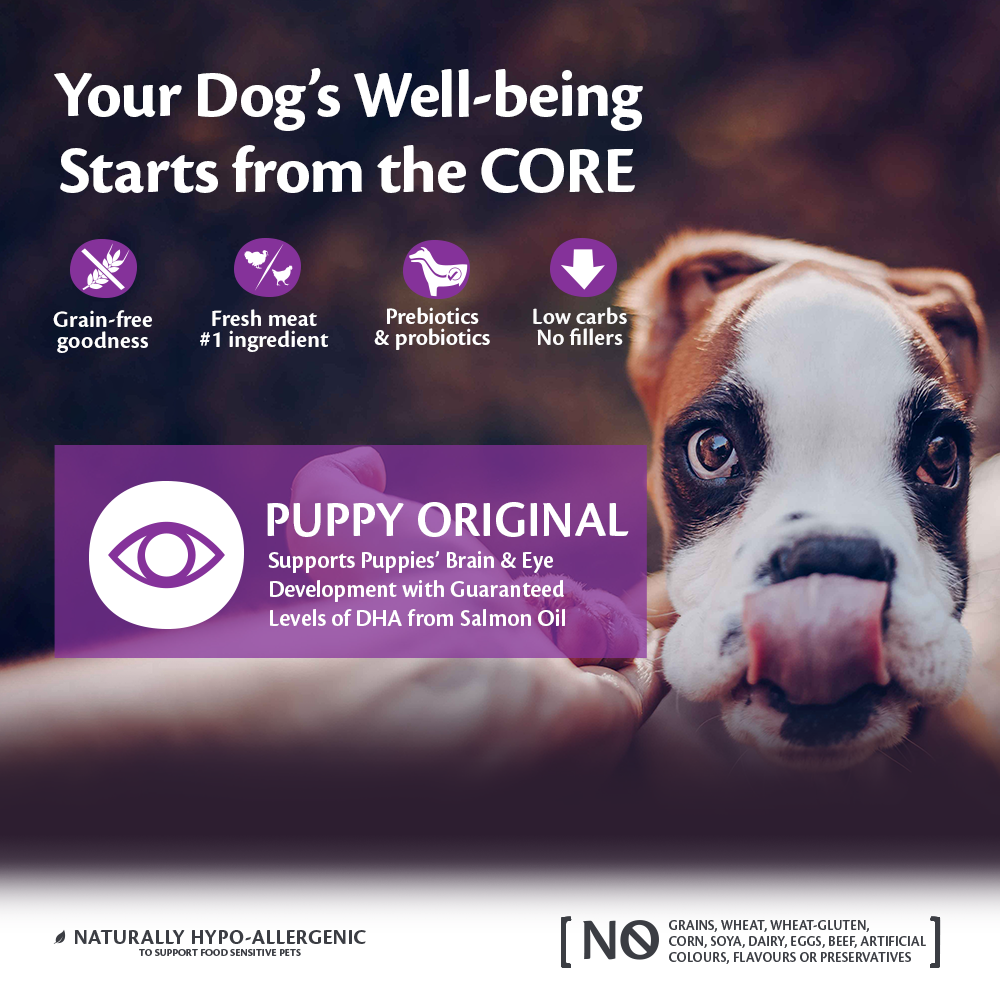 Wellness core puppy hotsell ingredients