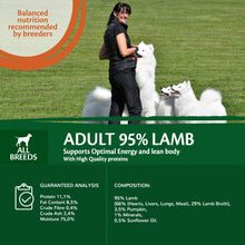 Load image into Gallery viewer, Wellness CORE Can 95% Lamb and Pumpkin 6 x 400g
