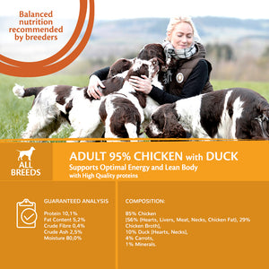 Wellness CORE Can 95% Chicken and Duck with Carrots 6 x 400g