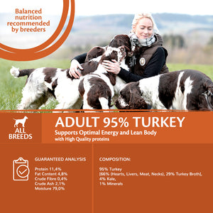 Wellness CORE Can 95% Turkey and Kale 6 x 400g
