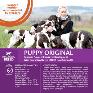 Wellness core puppy formula hotsell