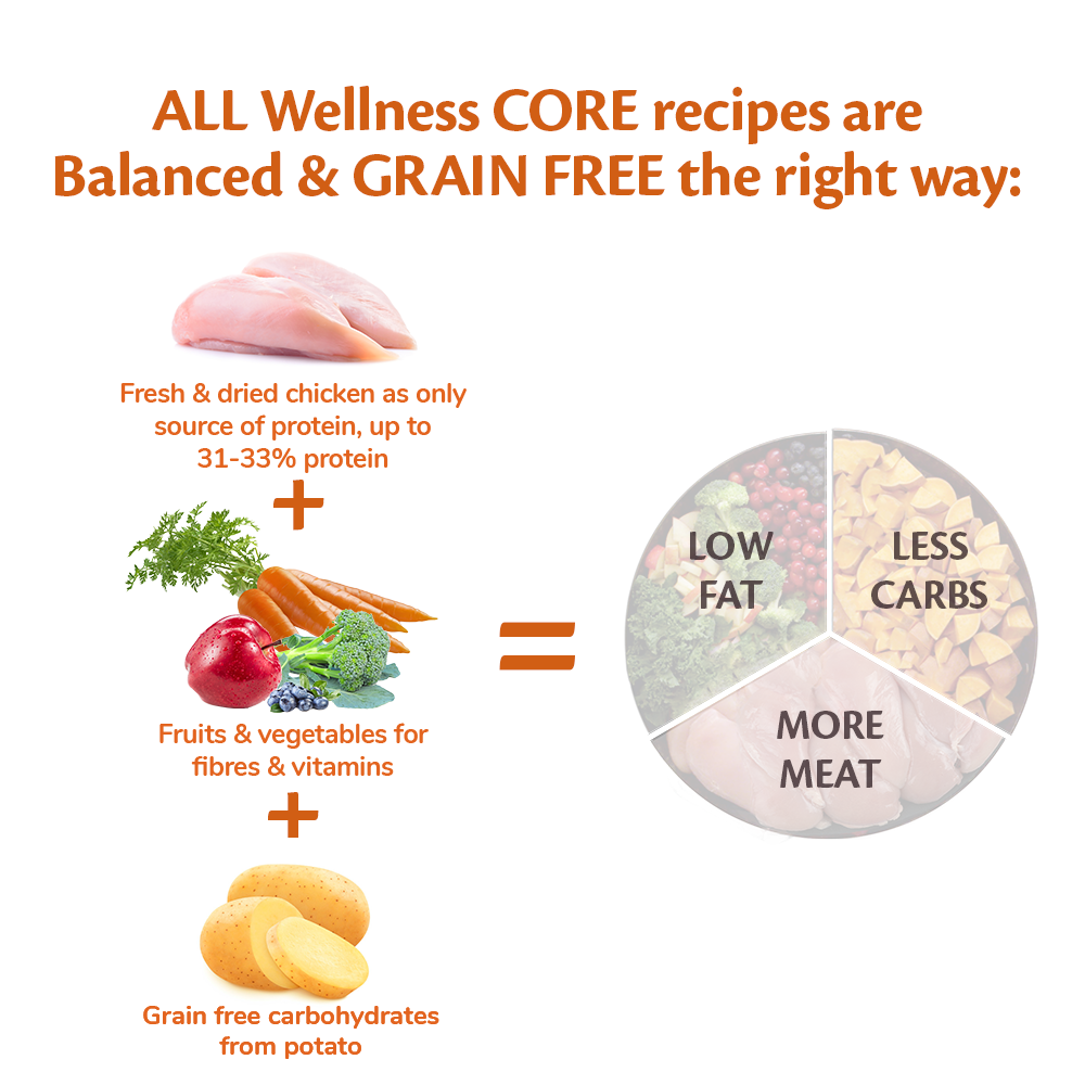 Wellness core natural grain free dry dog food large breed 2025