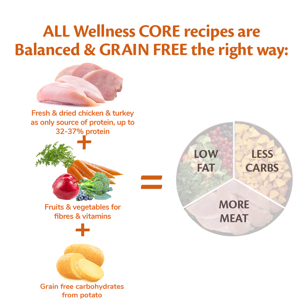 Core senior dog best sale food