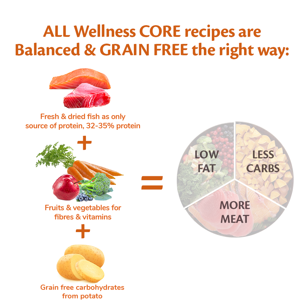 Wellness core grain free ocean sale