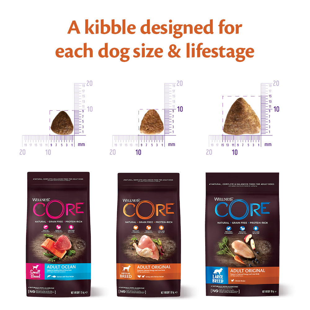 Wellness core dog store food large breed